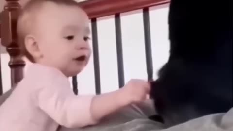 Funny cat vs kid😂