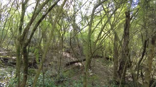 Green Hill Hardwick Cemetery