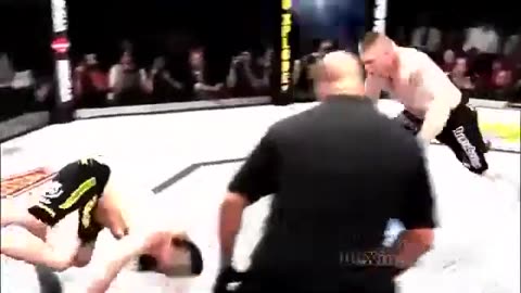 Brock Lesnar MMA UFC Knockouts