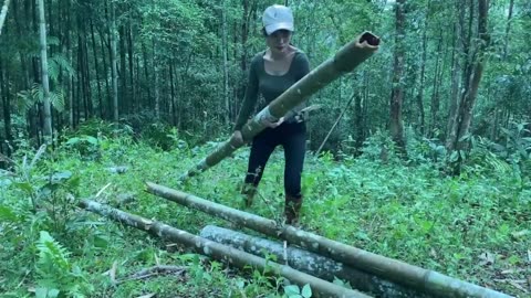Building shelter in bamboo forest