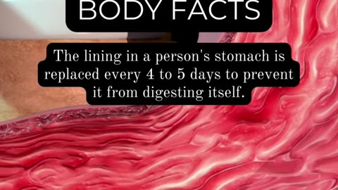 Astonishing Human Body Discoveries: Revealing Facts