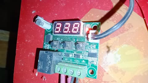 temperature in incubator for chicken eggs