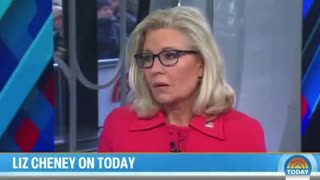 Liz Cheney Is Losing Her Mind At The Thought Of Trump Winning In 2024
