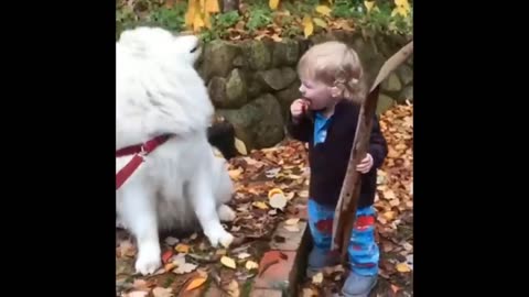 Funny and Cute Moment of the Animals