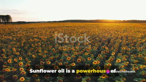 Sunflower Oil Radiance: Unlocking the Health Benefits