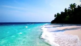 Beach life #travel #viral #shorts