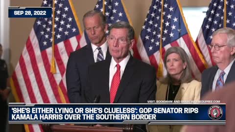 'She's Either Lying Or She's Clueless': GOP Senator Rips Kamala Harris Over The Southern Border