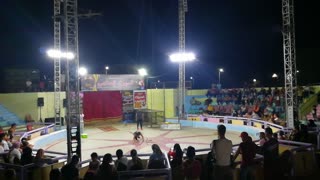 Guy Survive 3 Cobra Snakes In Circus