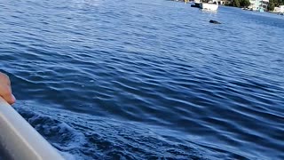 Amphibious Bus ride in Miami, Florida