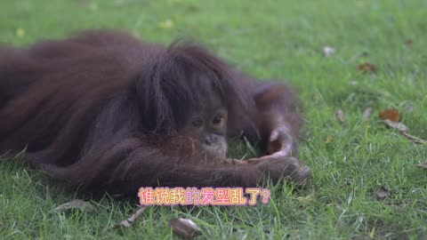 When it's hot, it feels like every hair is tangling