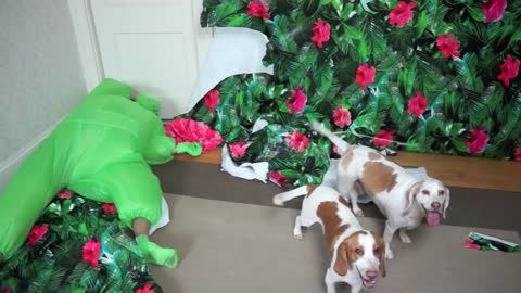 Dogs vs Dancing Flower Man Prank Funny Dogs Maymo & Potpie