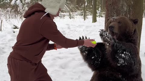 Man Entertains Bear By Juggling