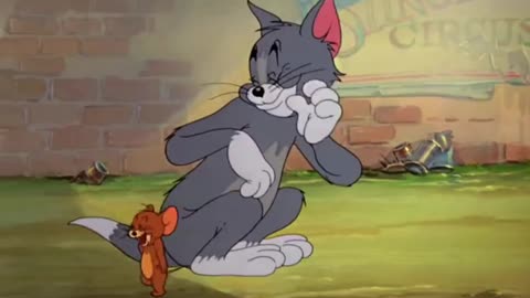 tom and jerry cartoons