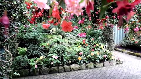 Beautiful Flower Garden in Canada, The Butchart Gardens-4