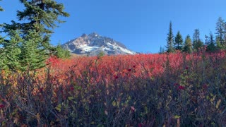 Oregon – Mount Hood – Mountain Views Framed with Autumn Splendor – 4K