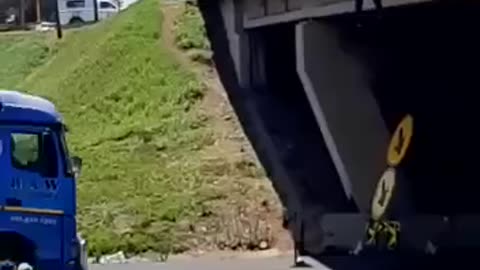 Suicide of South African Bridge