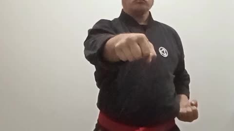 Okinawan Karate and Kobujutsu