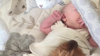 Baby and dog cuddling