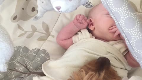 Baby and dog cuddling