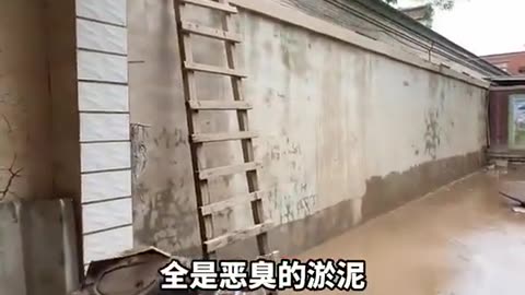 网友拍的，河北涿州洪水退去，家里的淤泥，得有半米高，家里的猫也不见了……[悲伤]