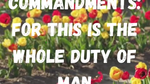 Fear God, and keep his commandments: for this is the whole duty of man