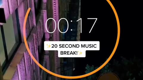 20 second music break?? #softcore #theneighbourhood #fypシ #foryoupage #RufflesOwnYourRidges