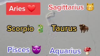 Zodiac who's most likely