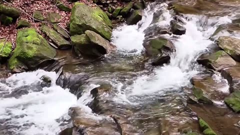 Relaxing video River Sound || Water sound relax for sleep