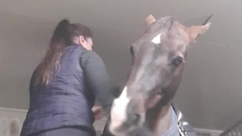 Girl Plays Defense to Moody Mare Trying to Bite