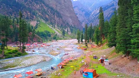 Oshu forest Kalam valley