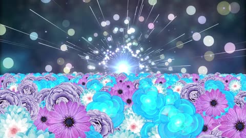 flower animation VJ loop | Ngo Tu ADV 0908352248