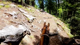 Ride with me as Jazz walks up endless steps in the Marble Mountain Wilderness