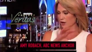 ABC refused to broadcast Anchor's report on Epstein