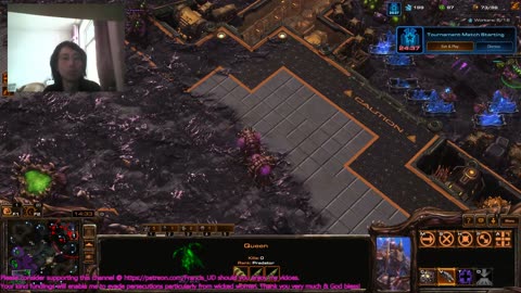 SC2 two zvts one on goldenaura the other alcyone