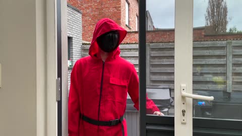 Funny Dogs Surprised with RED Jumpsuit From Squid Game