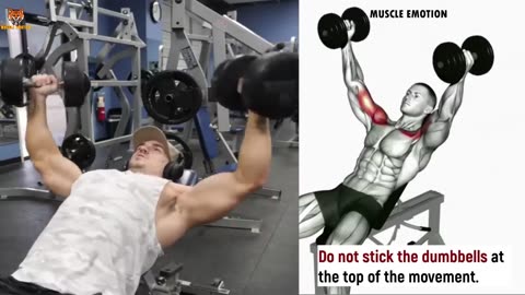 14 Best Chest Workout for Mass