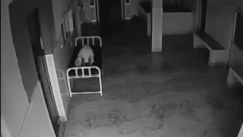 real time ghost caught on camera
