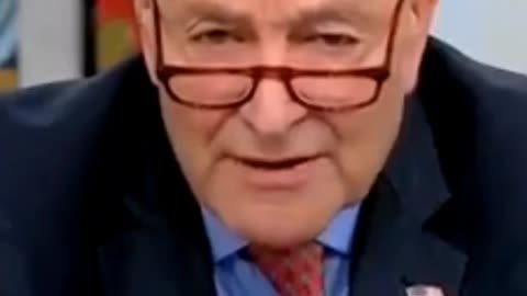 Sen. Chuck Schumer - What do you mean we?