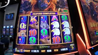 Buffalo Cash Slot Machine Play With Fun Bonuses And Jackpots!