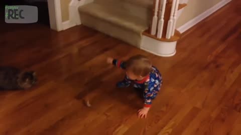 Kittens and babies playing together compliations