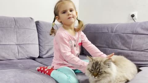 Child with cat playing reactions