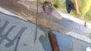 Dirty Drain Gets Unclogged