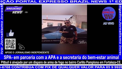 SPA- em parceria com a APA e a secretaria do bem-estar animal