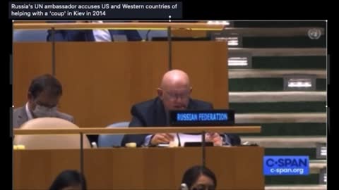 Russian UN Ambassador accuses the USA and western countries