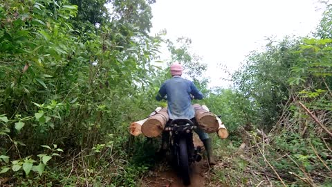 bring wood using a motorbike on extreme roads