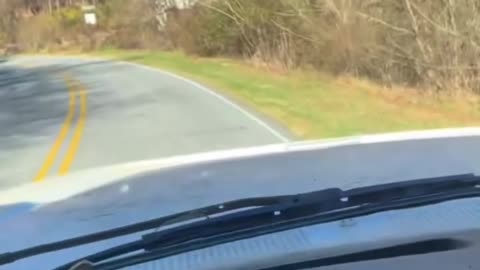 raccoon jumps off of truck