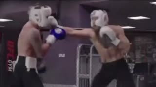 Conor McGregor Boxing Sparring
