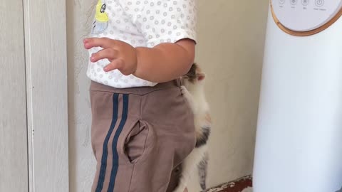 Kitten Clings To Boy