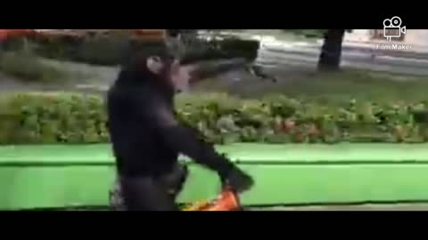 Cute Chimpanzee driving velo