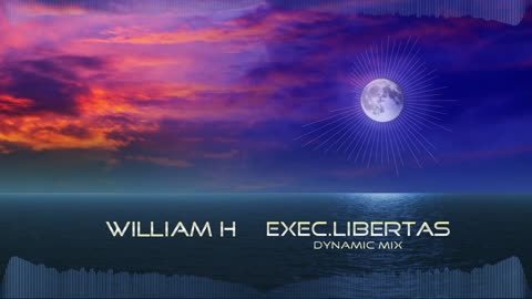 Willem Hubertus - exec.Libertas [Progressive House]